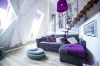 purple- (1)