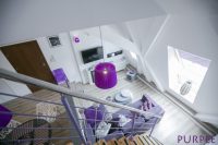 purple- (14)