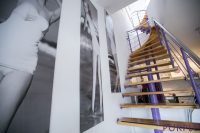 purple- (3)